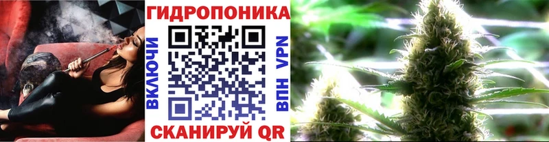 MEGA ONION  Усмань  Каннабис тримм 